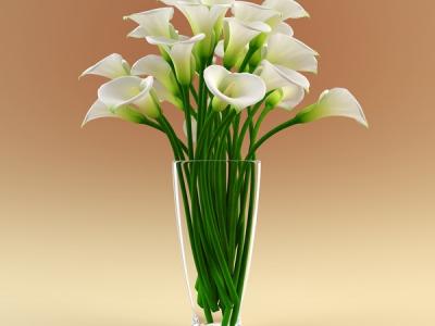 3ds-max-vase-calla-flowers-calla-flower-in-vase-4-msdessi-vase-with-flowers
