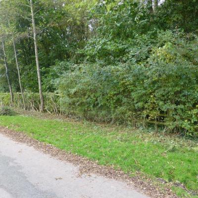 BH Lane