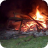 bonfire