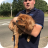 Dog Suffers Accident with Car Image (10)