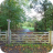 dog-walks-in-cheshire-Tarvin-Community-Woodland
