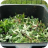Garden Waste