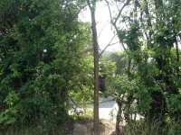 Hole in Hedge