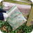 Litter pick 2