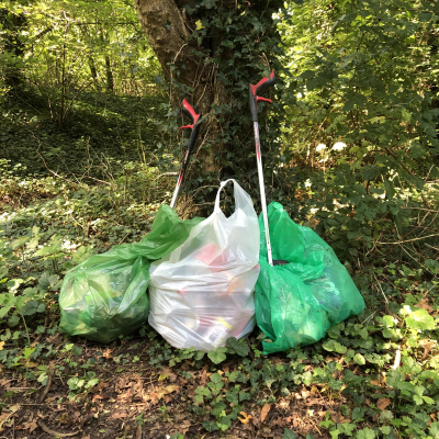 litter woodland