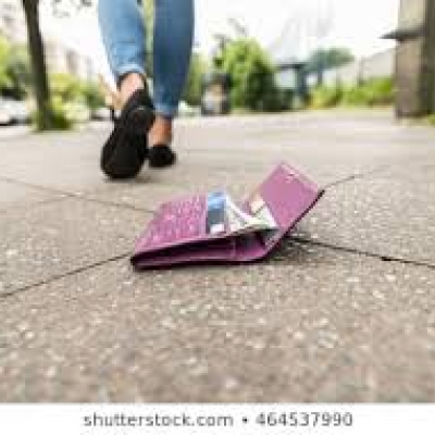 Lost purse