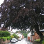 Lower High St