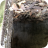 Photo 3 Nuthatch Nesting Material In Great Tit Box