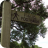 Public_footpath_sign_