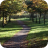 Tarvin Community Woodland