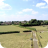 Tarvin fields