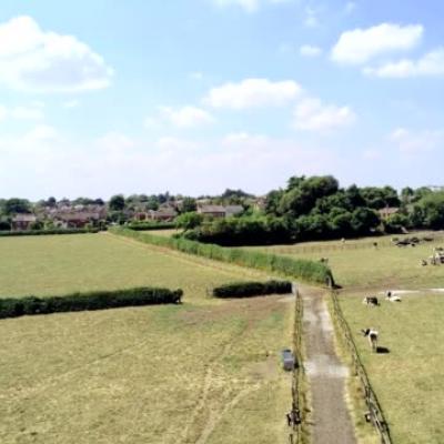 Tarvin fields