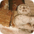 Tarvin Imp