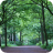 groans-walk-tarvin-woodland