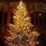 Xmas tree